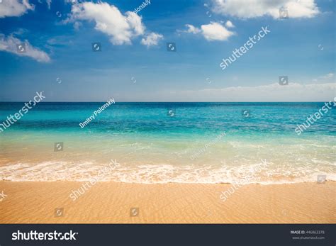 Sea View Tropical Beach Sunny Sky Stock Photo 446863378 Shutterstock