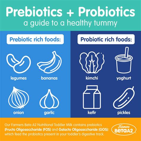Prebiotics And Probiotics Beta A2 Professional