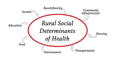 Lesbian, gay, bisexual, and transgender (lgbt) health social determinants of health (sdoh) health and health care education economic stability social and community context neighborhood and built environment viewing lgbt health through the social determinants lens. Social Determinants of Health for Rural People ...