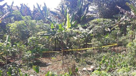 Mayat Bocah Dalam Karung Ditemukan Di Kebun Singkong Bogor