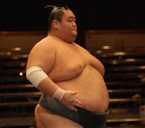 The Heaviest Sumo Wrestlers Of All Time