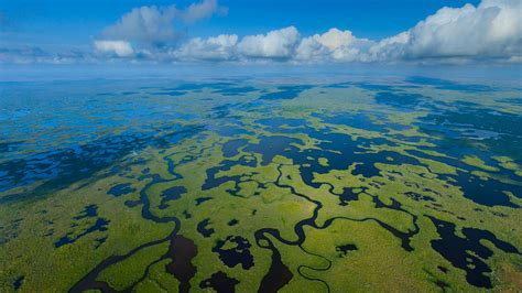 Everglades Aerial Np Bing Wallpaper Download