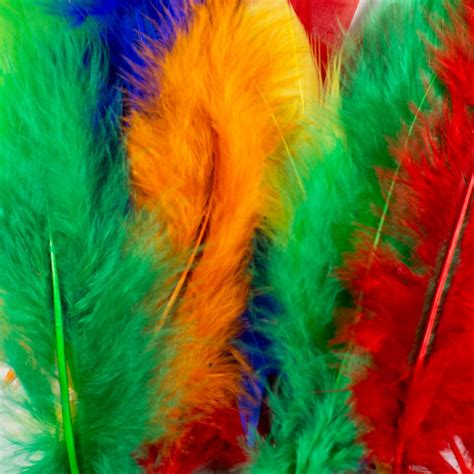 Bright Feathers Dala