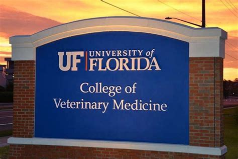 Parasitologist Receives Uf Veterinary Colleges Top Teaching Award The Business Report Of