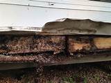 Epoxy Repair Termite Damage Images