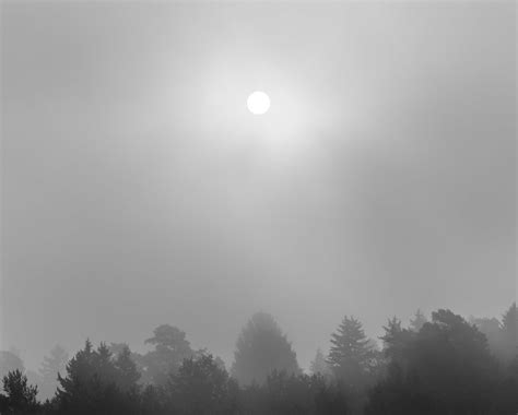 Sun Shining Through The Mist Juozapas Tamošiūnas Flickr