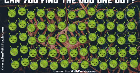 Pink, sound garden, red hot chili peppers, cream, the thompson twins, alice in chains, garbage, guns n' roses, pet shop boys, t rex, the white stripes, eagles, pavement, arctic monkeys. Odd Man Out Picture Brain Teaser with Answer