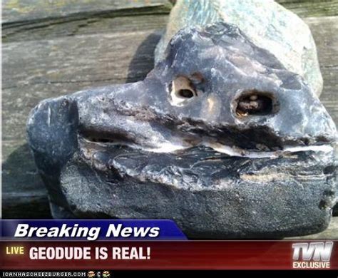 Breaking News Geodude Is Real Cheezburger Funny Memes Funny