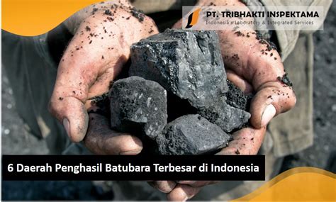 6 Daerah Penghasil Batubara Terbesar Di Indonesia Pt Tribhakti