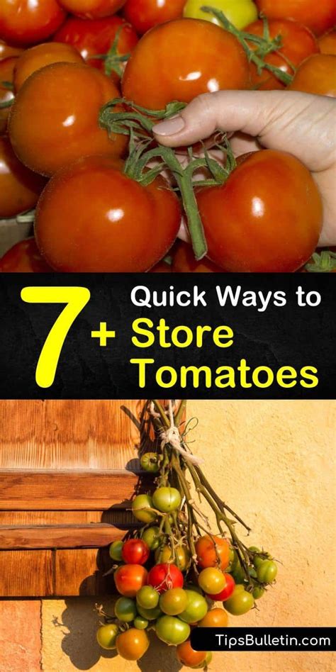 7 Quick Ways To Store Tomatoes How To Store Tomatoes Tomato