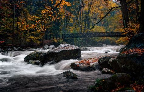 A River Runs Through It Big Creek Great Smoky Mountains National Park
