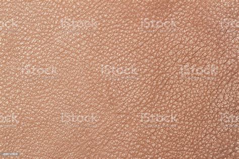 Light Brown Leather Texture Surface Stock Photo Download Image Now