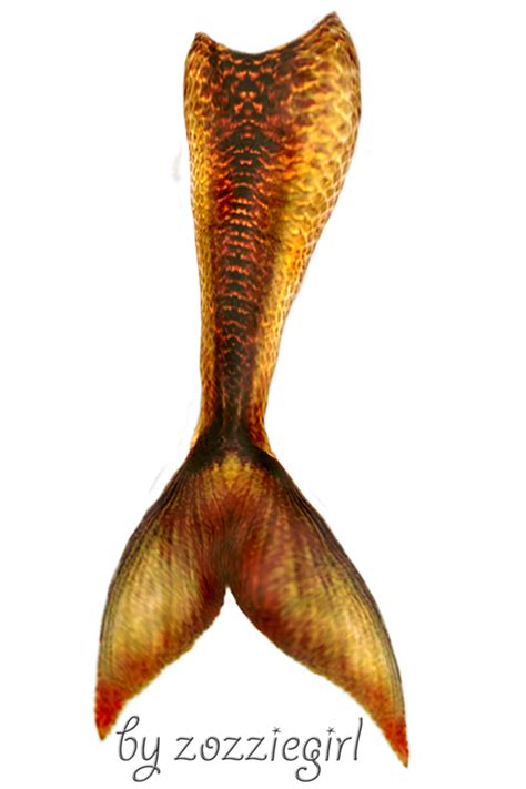 Download Mermaid Tail Transparent Hq Png Image Freepngimg