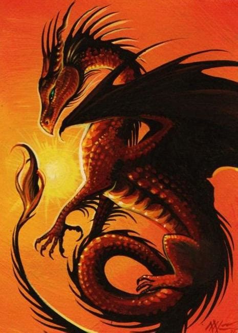 Sun Dragon By Nico Niemi From Dragons