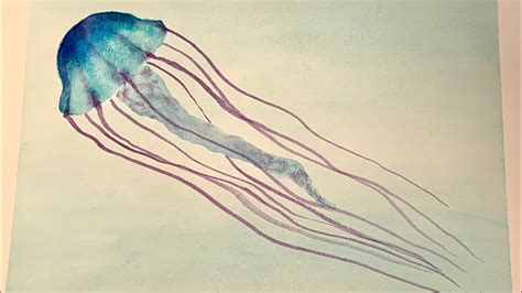 151 Easy Watercolor For Beginners Jellyfish Dr Ph Martin Hydrus