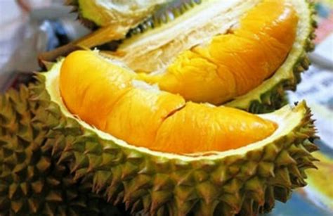 Durian king ttdi carries both musang king and black thorn durian in their stall in bukit bintang. Cara Menanam Durian Musang King Agar Cepat Berbuah ...