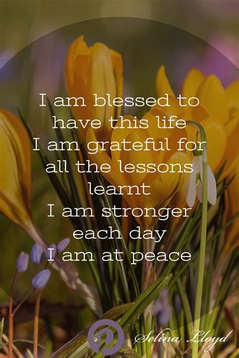 Affirmation I Am Grateful And Blessed To Have This Life Affirmations