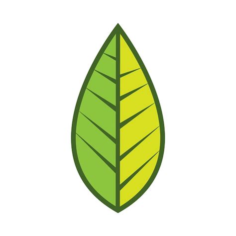 Premium Vector Leaf Logo