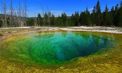 Yellowstone National Park Morning Glory Pool In The Upper Flickr