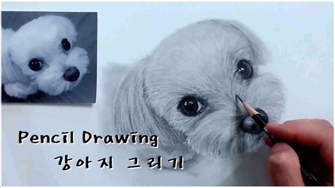 Learn how to draw a dog in a few minutes watch our fun and step by step tutorials to learn how to sketch a dog. 연필드로잉 - 동물(강아지) 그리기 1배속 [ Drawing animal/How to draw a dog ...