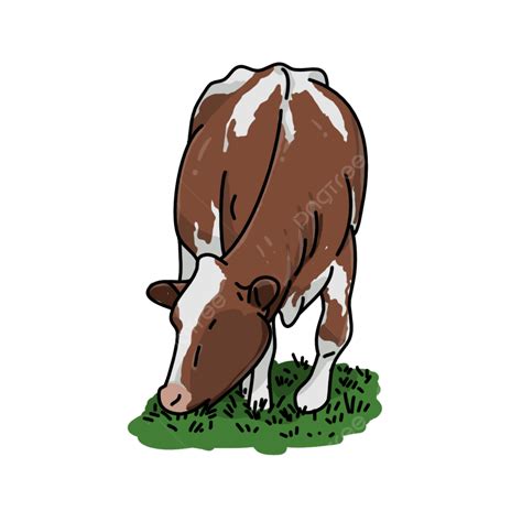 Cows Eat Grass Illustration Grass Cow Cows Png And Vector With