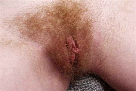 Red Hairy Pussy Collection Pics Xhamster My Xxx Hot Girl