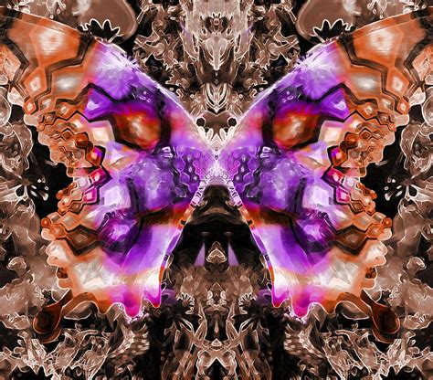 Butterfly Abstraction 5 Digital Art By Devalyn Marshall