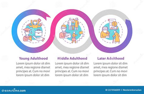Stages Of Adulthood Vector Infographic Template Stock Vector
