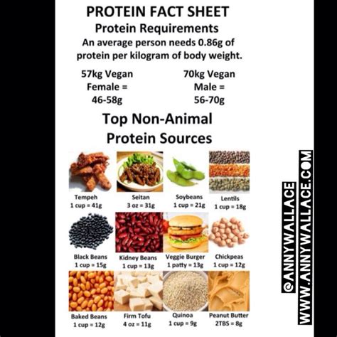 How to add more non meat protein to your diet www.annywallace.com