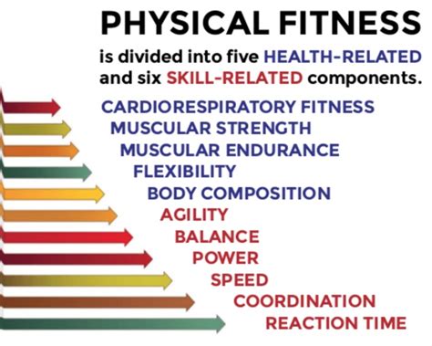 Health Related Components Of Fitness Slideshare