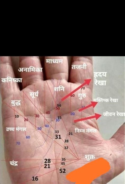 Lottery Signs And Sudden Wealth Signs In Your Hands Palmistry Artofit