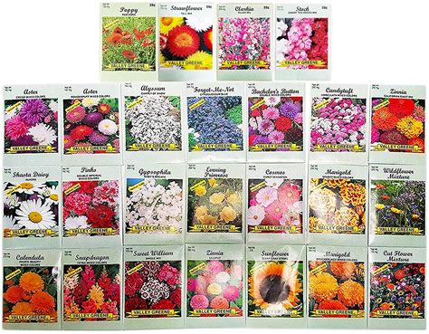 Set Of 25 Deluxe Variety Flower Seed Packets 10 Varieties
