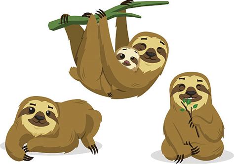 Three Toed Sloth Clipart Kids 10 Free Cliparts Download Images On