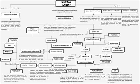 Mapas Conceptuales Del Sistema Inmunol Gico Descargar The Best