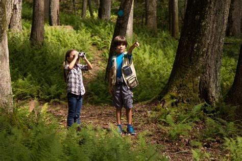 Twin falls resort is a mountain lodge located in twin falls state park and offers guests a combination of majestic views and modern amenities. Twin Falls Camping - West Virginia State Parks - West ...