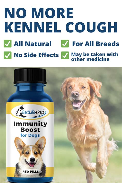 Dog Immune Support Supplement Helps Boost Dog Immune System In