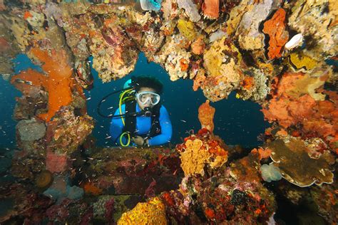 Best Diving Sites In Palawan Coron Diving Club Paradise Palawan