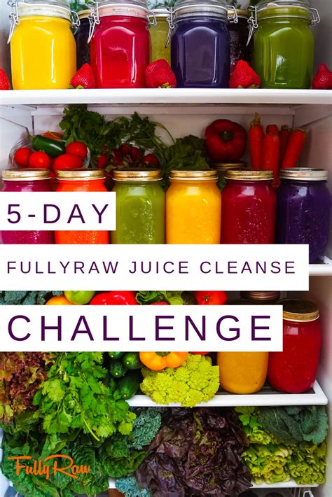 4 healthy juice cleanse recipes to aid in digestion, energy, health and wellness, and diet. Announcing my NEW 5-DAY FullyRaw Juice Cleanse Challenge ...