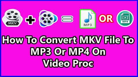 How To Convert Mkv File To Mp3 Or Mp4 On Video Proc Youtube