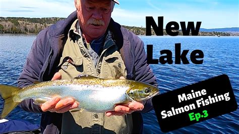 Spring Landlocked Salmon Maine Salmon Fishing Ep 3 Youtube