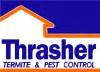 Egg, larvae, pupae and adult. Carpet Beetles on the Climb | Thrasher Termite & Pest Control