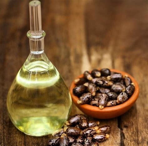 As your hair grows, the oil nourishes the strands and your scalp, creating the perfect environment for healthy hair growth. Castor Oil Can Regrow Your Hair and Eyebrows | Womans Vibe