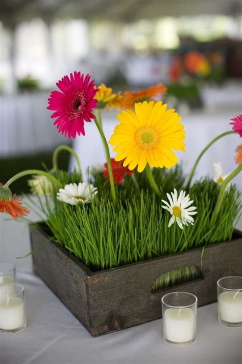 They signify innocence, purity and cheerfulness. 99 best images about Centerpieces on Pinterest | Blue ...