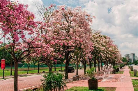 As uthm is a malaysian public university, we are able to offer advanced and modern facilities with low and. Universiti Tun Hussein Onn Malaysia (UTHM) - University List