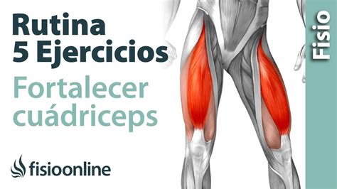 5 Ejercicios Para Fortalecer Cuádriceps Youtube