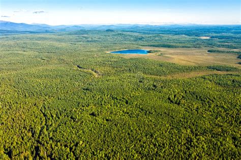 Flight Over Taiga And Lake In Forest Northern Urals Russia Stock