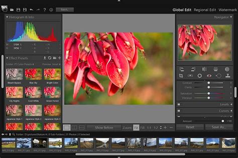 Open Source And Free Software News Giveaway Pt Photo Editor