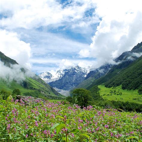 Valley Of Flowers Trek With Hemkund Sahib Travgenix Travel Solutions