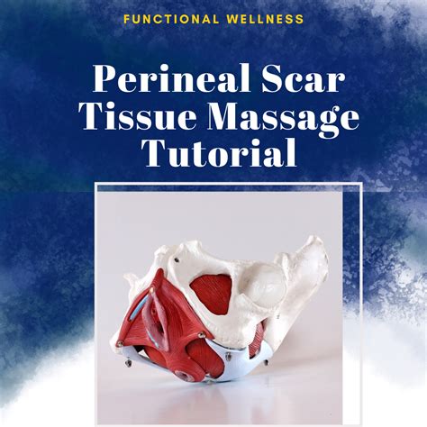 Perineal Scar Tissue Massage Tutorial — Triangle Pelvic Health