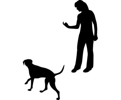 Come Essential Hand Signals For Dogs Popsugar Pets Photo 4